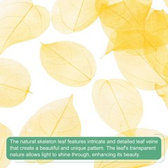 100-Pack Skeleton Leaves, Natural Rubber Tree Leaves Vein[7-9cm, Yellow]