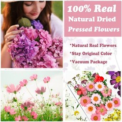 83 Pcs Pink Real Dried Pressed Flowers Natural Leave Petals for DIY Resin Mol…
