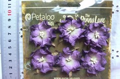 WILD ROSE – 6 Paper Flowers EGGPLANT PURPLE – 3-4cm across Penny Lane Petaloo I