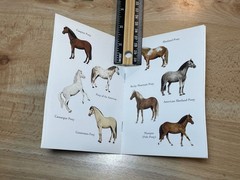 Ponies Stickers & Horses Tattoos 2003 by John Green Dover Lot of 3 NOS