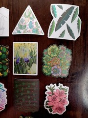 STICKERS x 10 Succulents Fern Plants Flowers Lily’s Mango Orchid Cactus Pl8