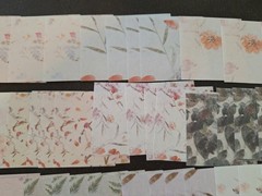 100pc 3 1/4 X 3 1/4 In. Quiet Words Among Flowers Scrapbook Papers Colorful