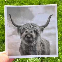25pcs HIGHLAND Cows stickers, Cows, animals, FREE Shipping*