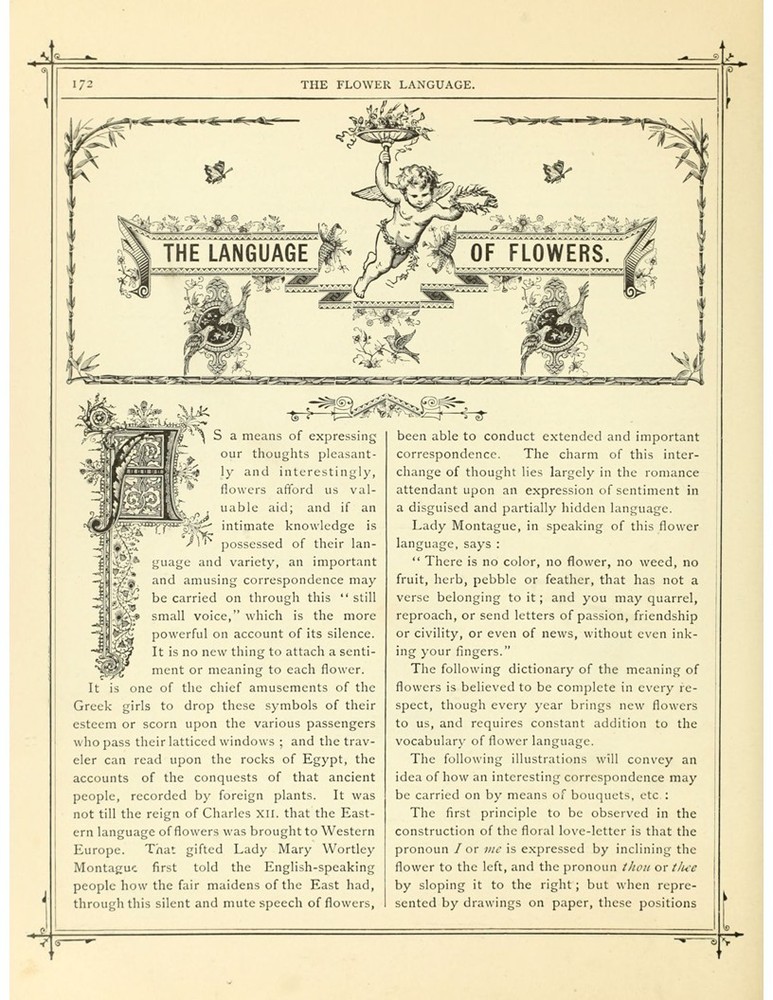 Victorian Language of Flowers Booklet – 6 Page Antique Floral Meanings Print Set