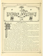 Victorian Language of Flowers Booklet – 6 Page Antique Floral Meanings Print Set