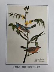 Vintage Antioch Bookplate, Lazuli Finch drawing by James J. Audubon, unused