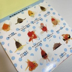 Uozura Fish Heads Stickers book 274 Japanese stickers Uozura / Atsushi Morioka