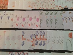 100pc 3 1/4 X 3 1/4 In. Quiet Words Among Flowers Scrapbook Papers Colorful