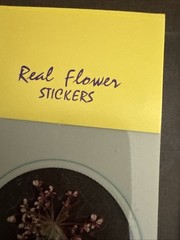 Lot Of 12 REAL Pressed Flowers Stickers Vintage Victorias Garden Scrapbook-36