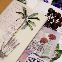 50pcs/Pack leaves stickers leaf plant and animal vellum stickers T03