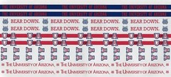 University of Arizona Wildcats Scrapbook Kit: paper & stickers NCAA