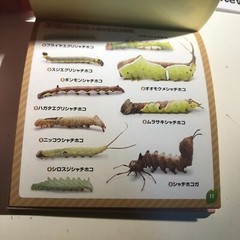 Japanese Caterpillar Stickers book 250 Stickers Shogakkan NEO