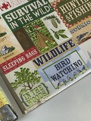 K & Company Stickers BOY SCOUTS AMERICA Outdoor Camping Survival BSA 30-570245