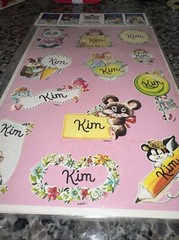 Vtg KIM Name Stickers 80’s Celebrity Stickers Sealed Mark I Name Stickers