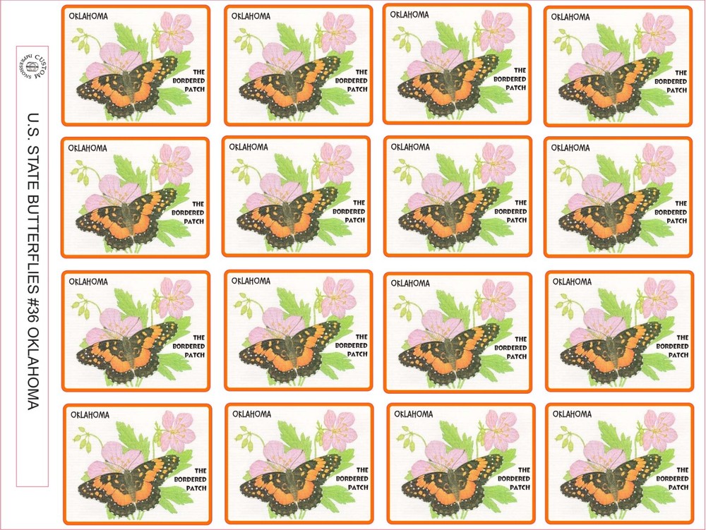 OKLAHOMA STATE BUTTERFLY – THE BORDERED PATCH SIZE 2.5″ X 2″ – 16 PER SHEET