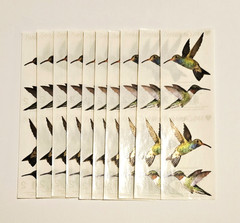 Mrs. Grossman’s Stickers Lot of 10 Strips ~Hummingbirds Photoessence~ 2011