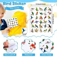 Hotop 600 Pcs Bird Stickers for Kids Bird Photos Stickers Animals Bird