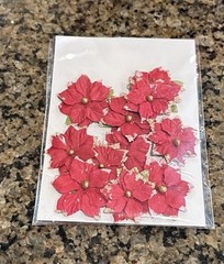 Lot of 14 Hobby Lobby CHRISTMAS Embellishments Scrapbook Cards Open Packages