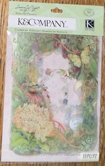 K&Company Colorful Handmade Acetate DieCut Frames Flowers Butterflies Scrapbook