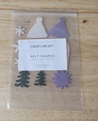 Close To My Heart WONDERLAND FELT SHAPES #X7274E Set of 10