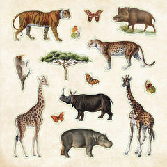 Zoological Ephemera Sticker (Over 680 Stickers!)