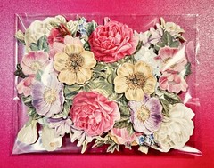 Anna Griffin’s Latest Bday Celebrations 3D Stickers 36 PCS of Flowers & Layers