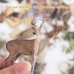Nature Themed Transparent Pre-Cut Stickers for Scrapbooking, Pack Multicolor