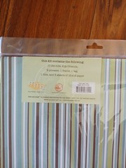 Live Out Loud «My Car» kit by Recollections for scrapbooking 12×12 Sheets