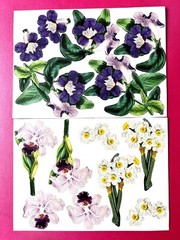 Anna Griffin Flower Pot Decoupage Diecuts 70+ PCS + Floral Recollection Layers