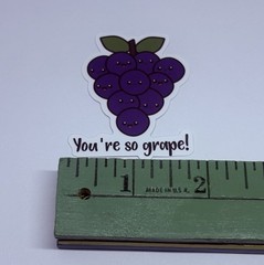 Cute Fruit Sticker “You’re So Grape” Inspirational Kids Journal Decal L Art Tc9
