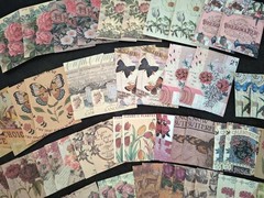 100 Pc Scrapbooking Supplies JJ Craft Kit Florabunda Theme Ephemera New Product