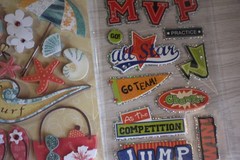 Sticker lot American girl, school stuff, sports, travel, family 3-d collection