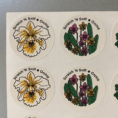 Vintage CTP Scratch ‘N Sniff Orchid Flower Stickers