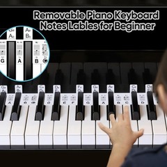 Full Size 88-Key Removable Piano Note Stickers with Dust Cover & Storage Box