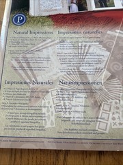 Creative Memories Collection-natural impressions