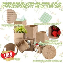 Willinglong Sage Berry Baskets Gingham Paper Stickers