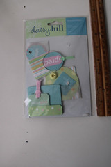 Daisy Hill Multi – Color Baby Dimensional Pocket Embellish Cards Boxes Scrapbook