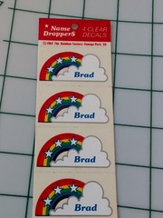 Vintage Stickers Name Droppers Rainbow Clear Decals BRAD 4 Stickers