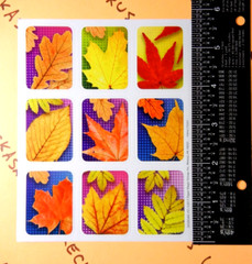 Fall Leaves Eureka Sticker Sheet