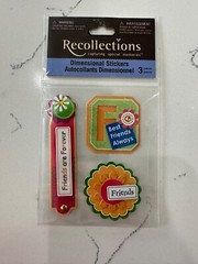 Recollections Dimensional Stickers 3PC Banners Friends Are Forever Best Friends