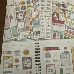 Recollections Sticker Book 739 Pieces. Great For Calendars To Do List Etc