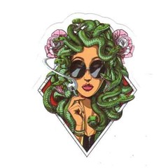 Stickers for Water Bottles, 420 Stickers for Teens Adults, Vinyl Waterproof