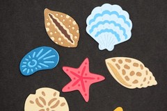 Seashells Shell 7 pcs Cardstock Paper Die Cut Embellishment Scrapbook Cardmaking