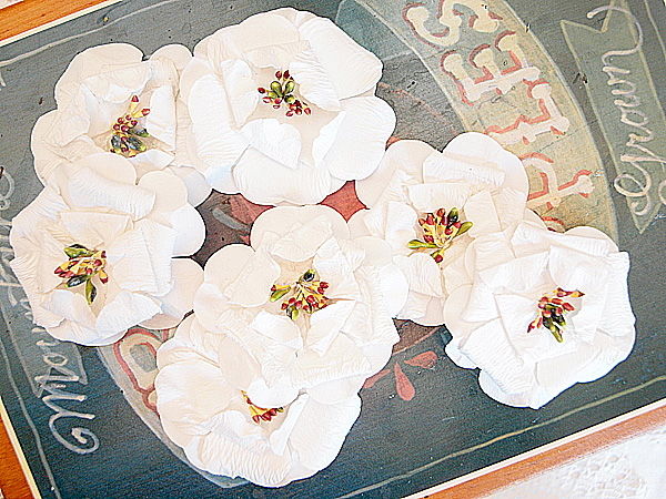 APPLE BLOSSOMS 6 Pack WHITE with Centre – PAPER – 50-55mm Manor House ConB