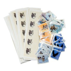 Wildlife Animal Scrapbook Craft Stickers Border Collie Pet Wolf Moose Birds Mix