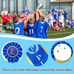 Award Ribbons Rosette Prize Set 1st 2nd 3rd Place 3 Pack