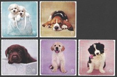 Stickers – Dog Puppy – Any Occasion CL051