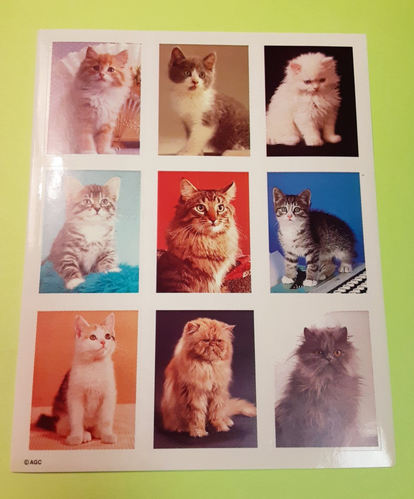 vintage AGC photo cats kittens sticker sheet
