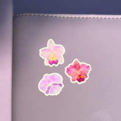 Cattelya Orchid Flower Sticker Sheet, Tiny Rare Cute Vinyl Decals, For Notebook