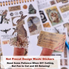 900Pcs Mini Scrapbook Washi Stickers for Journaling, 50 Sheets Vintage Sticker B